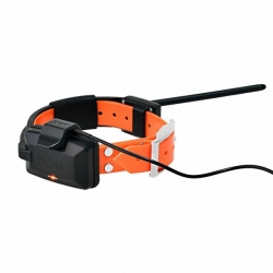 Dog Trace Halsband voor een andere hond DOG GPS X30 - Groen
