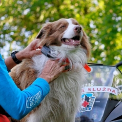 Dog Trace Hondentracker DOG GPS X30 - zonder trainingsmodule