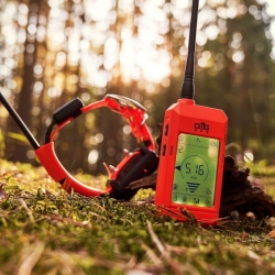 Dog Trace Halsband voor een andere hond DOG GPS X25T - oranje